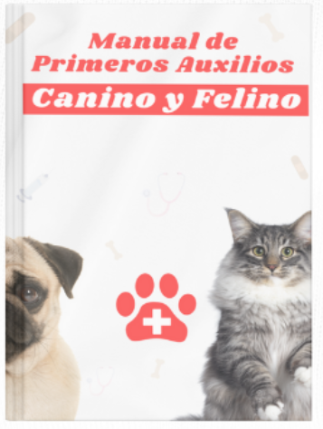 Manual de primeros auxilios para perros y gatos