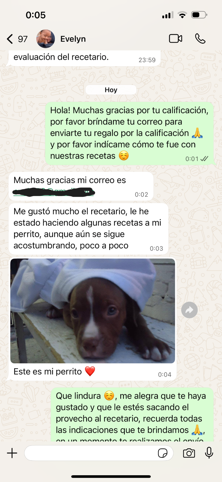 Conversación de WhatsApp con Evelyn sobre el recetario