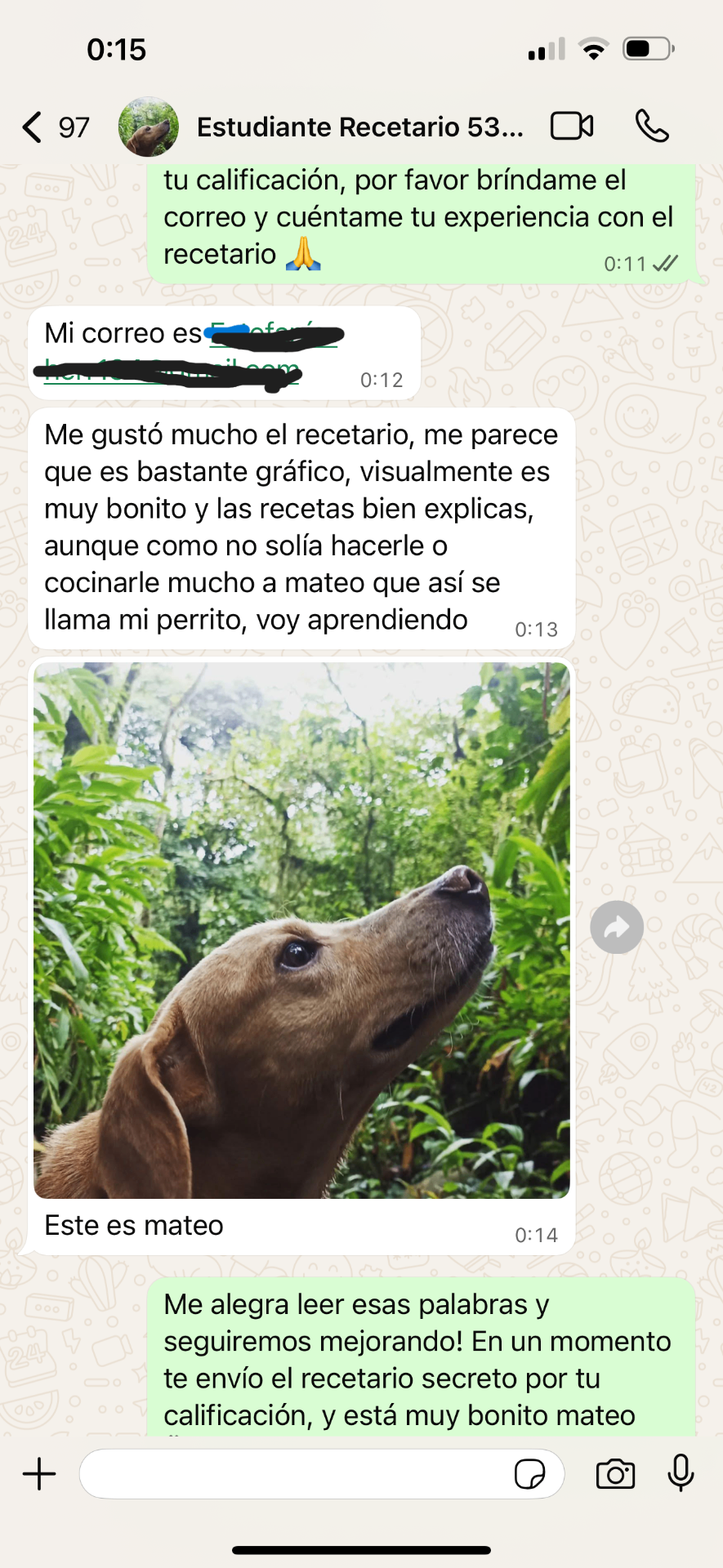 Conversación de WhatsApp sobre Mateo, perrito del cliente