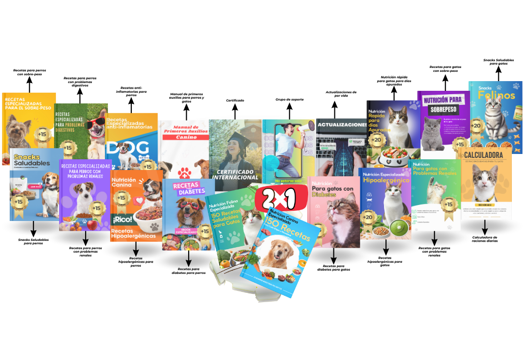 Vista completa de los ebooks, bonos y recursos incluidos en el Mega Pack