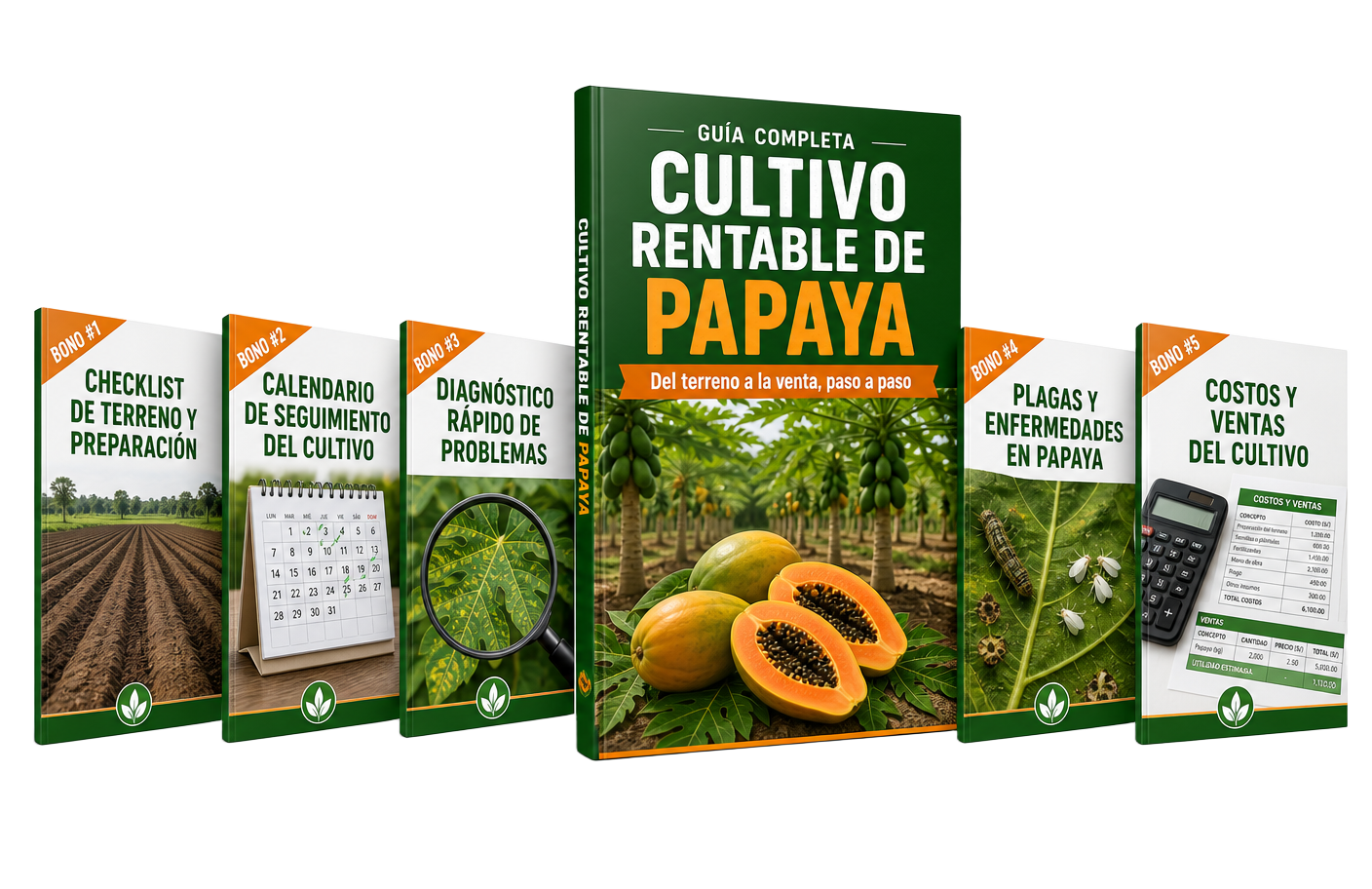 Guía y bonos incluidos